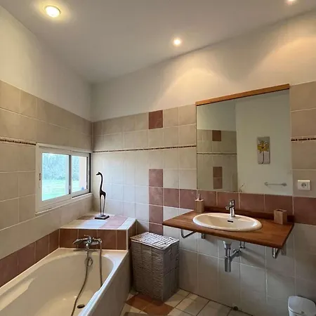 Villa Maison Contemporaine Avec Parc Et Piscine Privee Au Coeur Du Perigord Noir - Fr-1-824-27